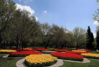 شهروندان مشهدی سال گذشته تنها ۱۶ روز هوای پاک تنفس کردند