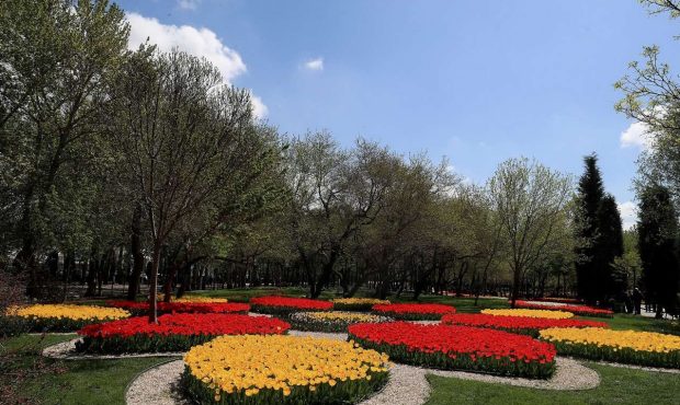 شهروندان مشهدی سال گذشته تنها ۱۶ روز هوای پاک تنفس کردند