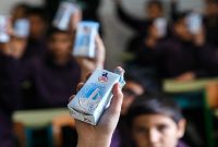 توزیع شیر مدرسه در سال تحصیلی جدید اجرا می‌شود؟